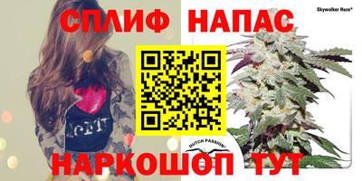 метадон Кингисепп