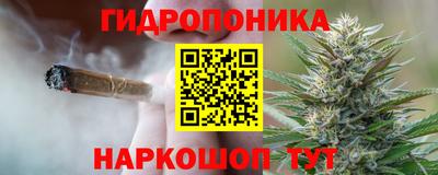 кокс Кинель