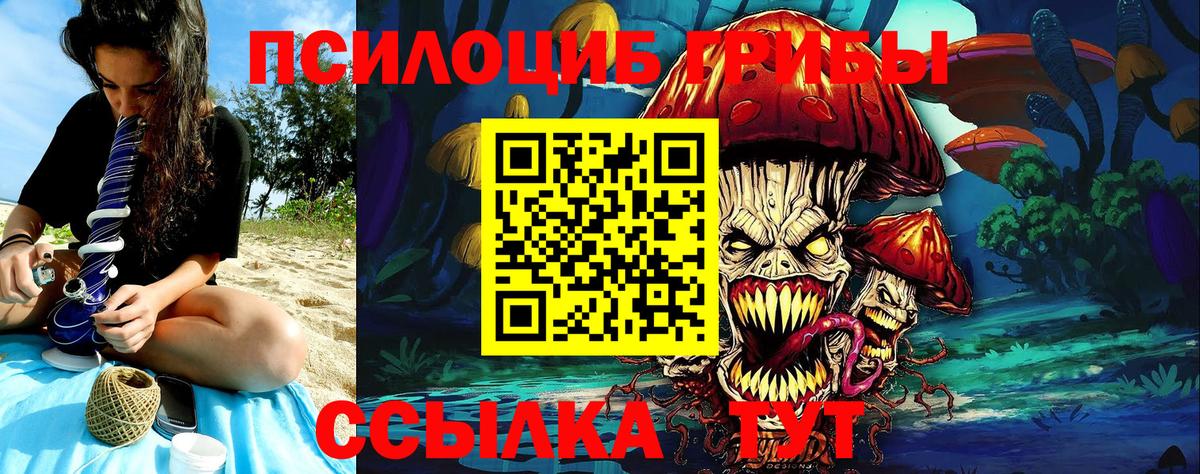 Кострома  Галлюциногенные грибы Magic Shrooms  Вход с VPN  Галлюциногенные грибы Cubensis 