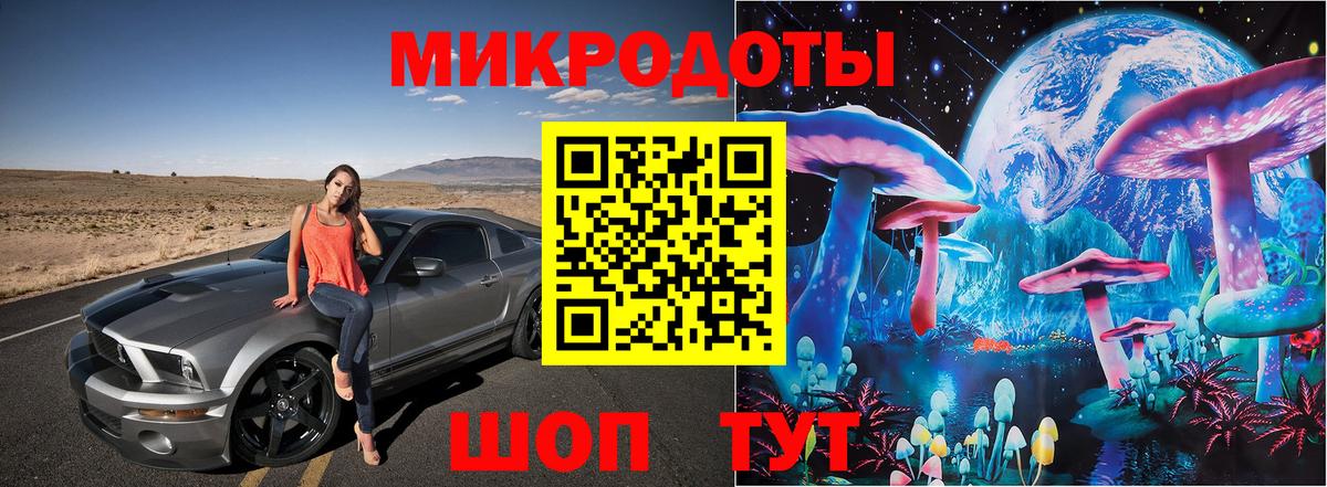Галлюциногенные грибы Psilocybe Кострома